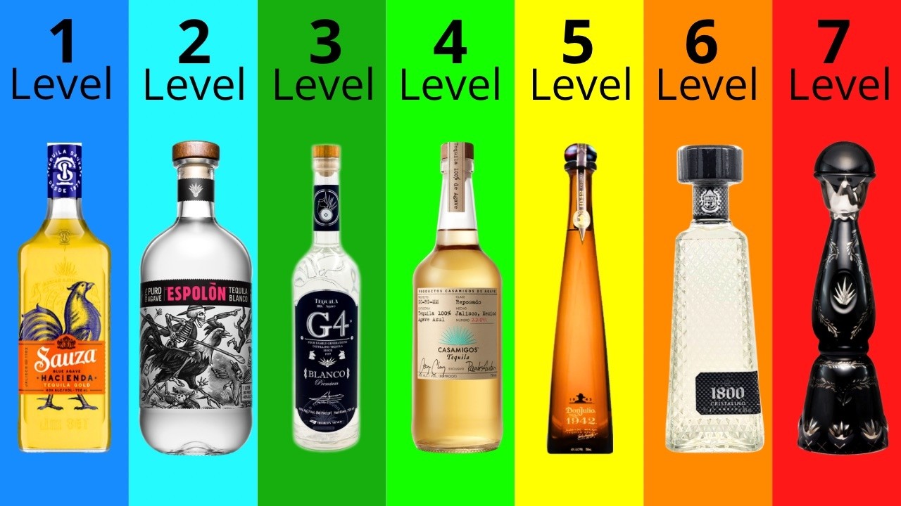 The 7 Levels Of Tequila!
