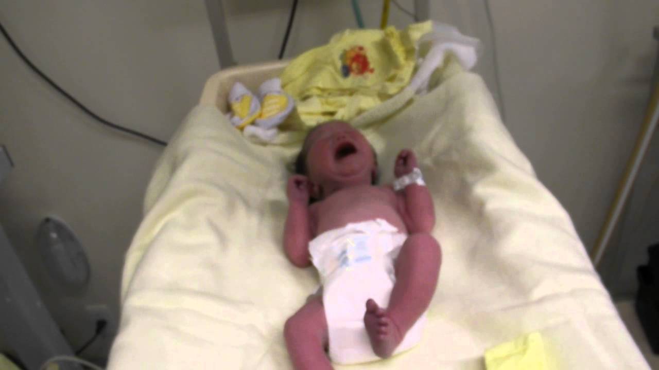 video do banho