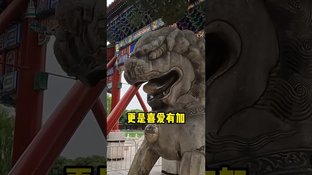 為什麼古代衙門宅邸的門口，要放中國本土沒有的獅子？#歷史 #中國歷史文化 #漲知識