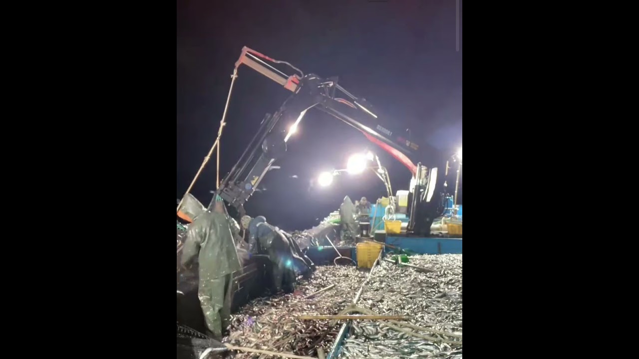 Un vas de pescuit comercial, surprins noaptea sub lumini puternice