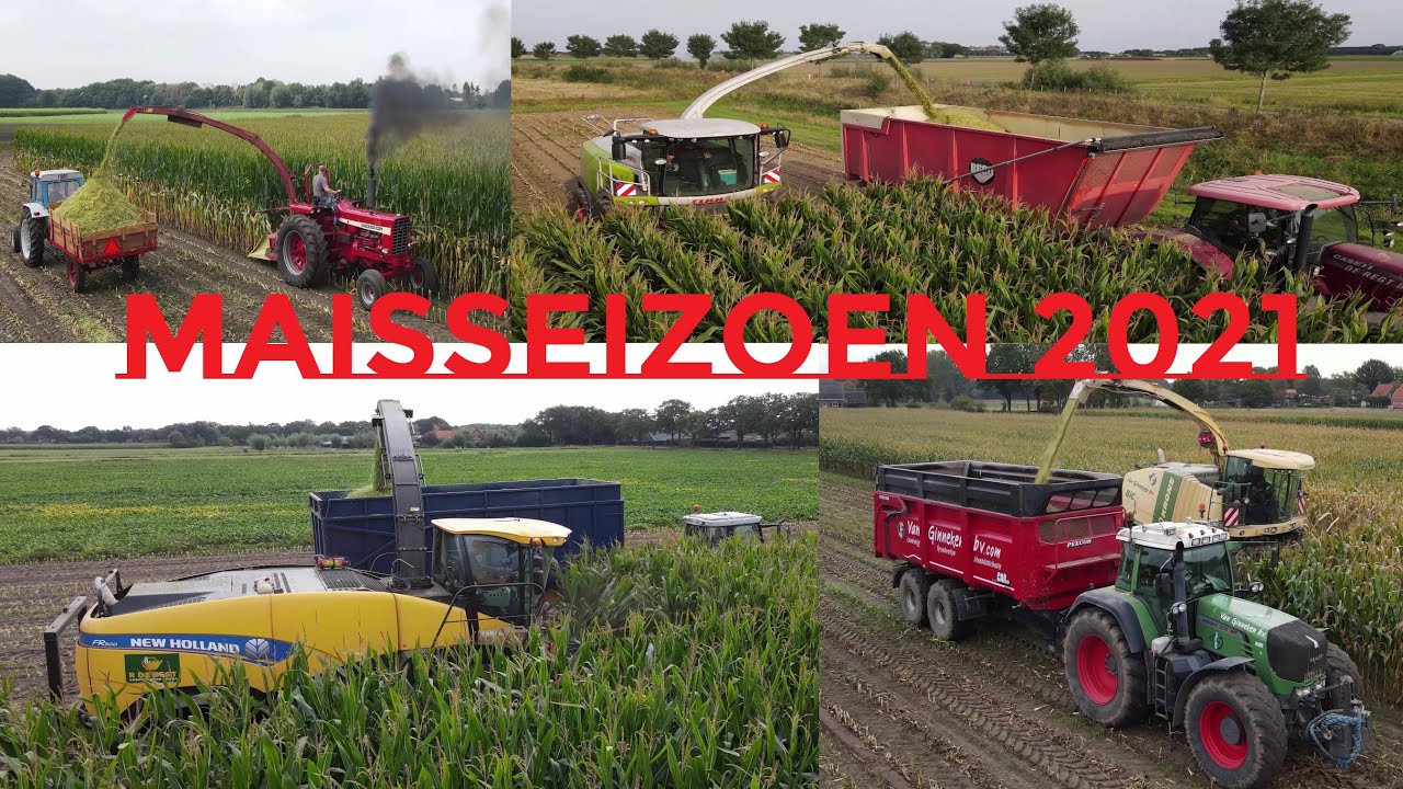 Maisseizoen 2021 | Corn season | Maissaison | Saison du ma&iuml;s | Akkerbouw | Landbouw | Farming