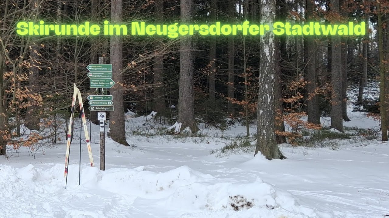 Skirunde im Neugersdorfer Stadtwald
