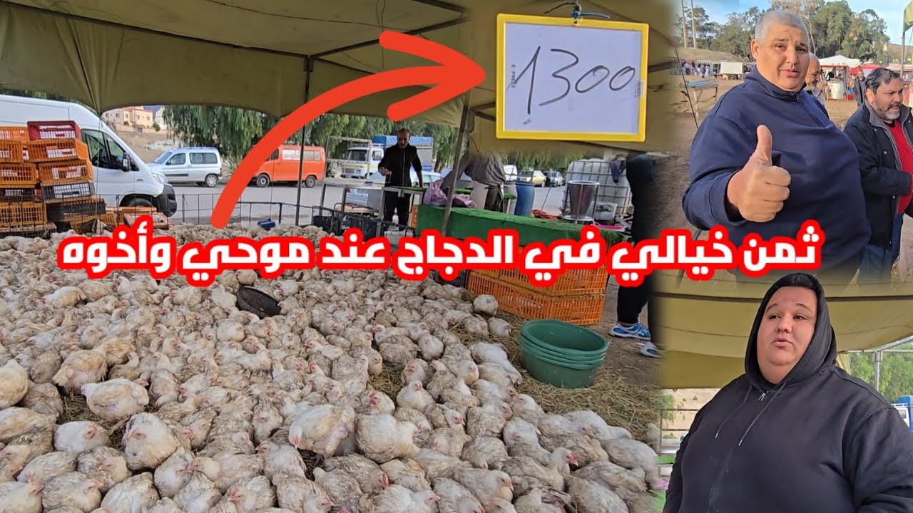تبارك الله موحي وأخوه يونس اليوم دارو ثمن خيالي في الدجاج شوفو شنو قالو كولشي ياكل الدجاج