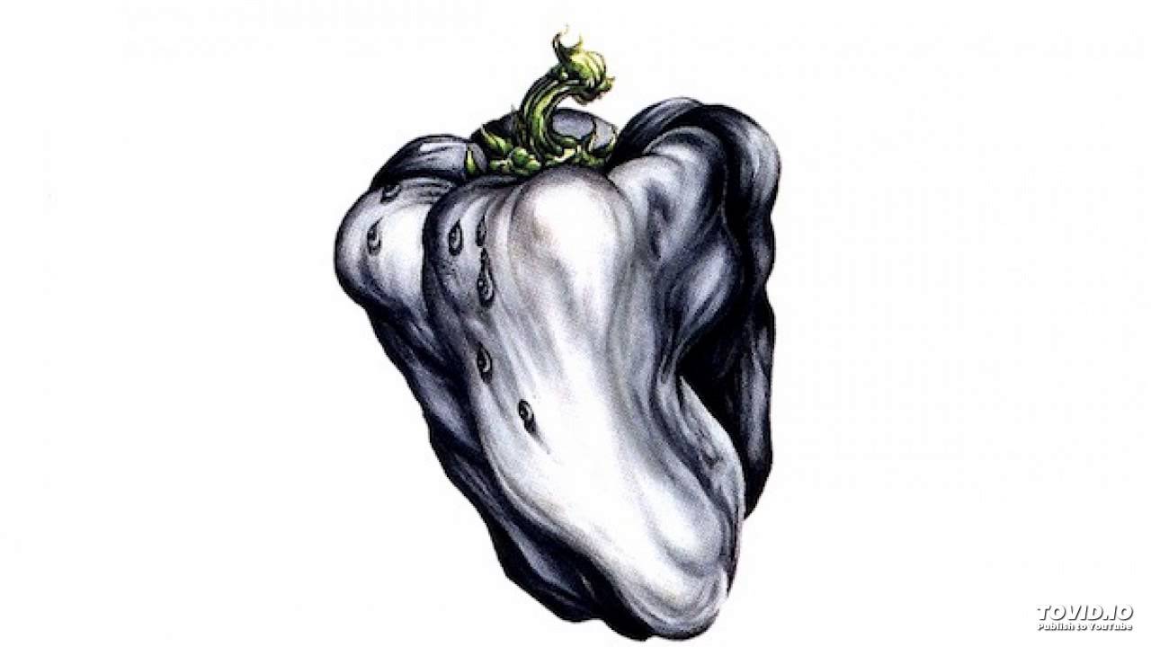 Ween - She'll Just Get You (White Pepper Demo, High Rez)