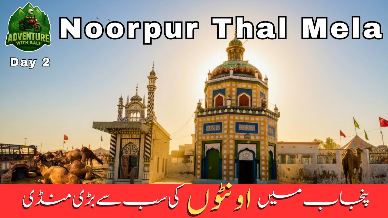Biggest camel mendi at Noorpur thal |Kabaddi match at Noorpur thal mela 2025|