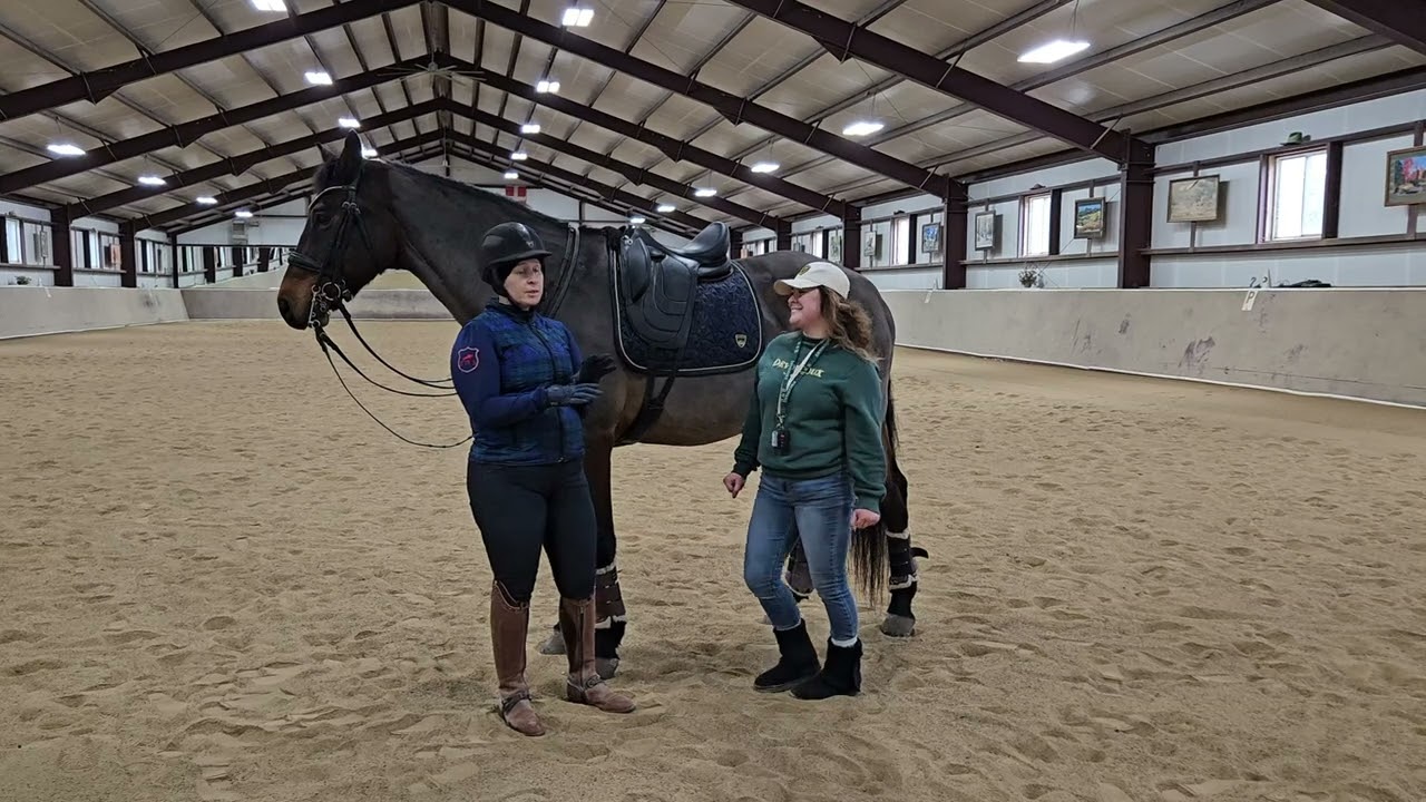 Меган и Седлер | Barn Besties