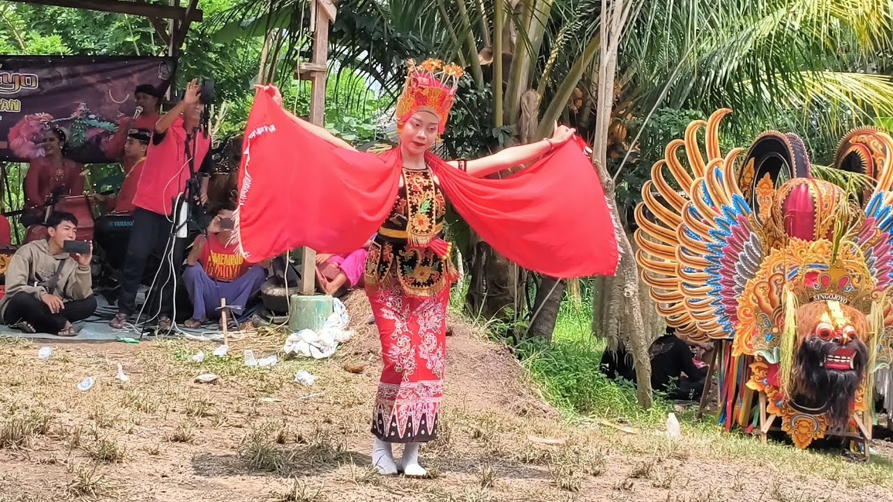 Tari Gandrung Banyuwangi_#jaranan Argo Budoyo Singojuruh live Paspan