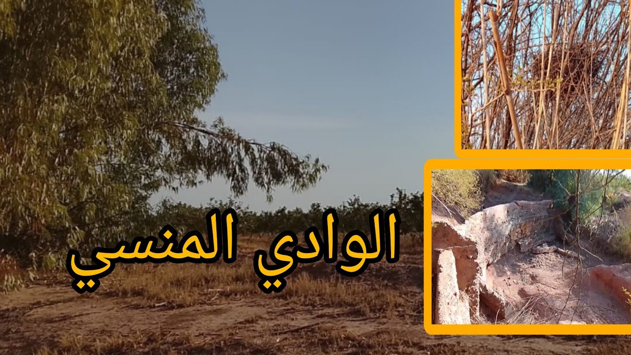 تتمة  استكشاف  واد  منسي 2025🔥ومحاولة الصيد  مع اجواء  المغامرة 🕊🕊🔥