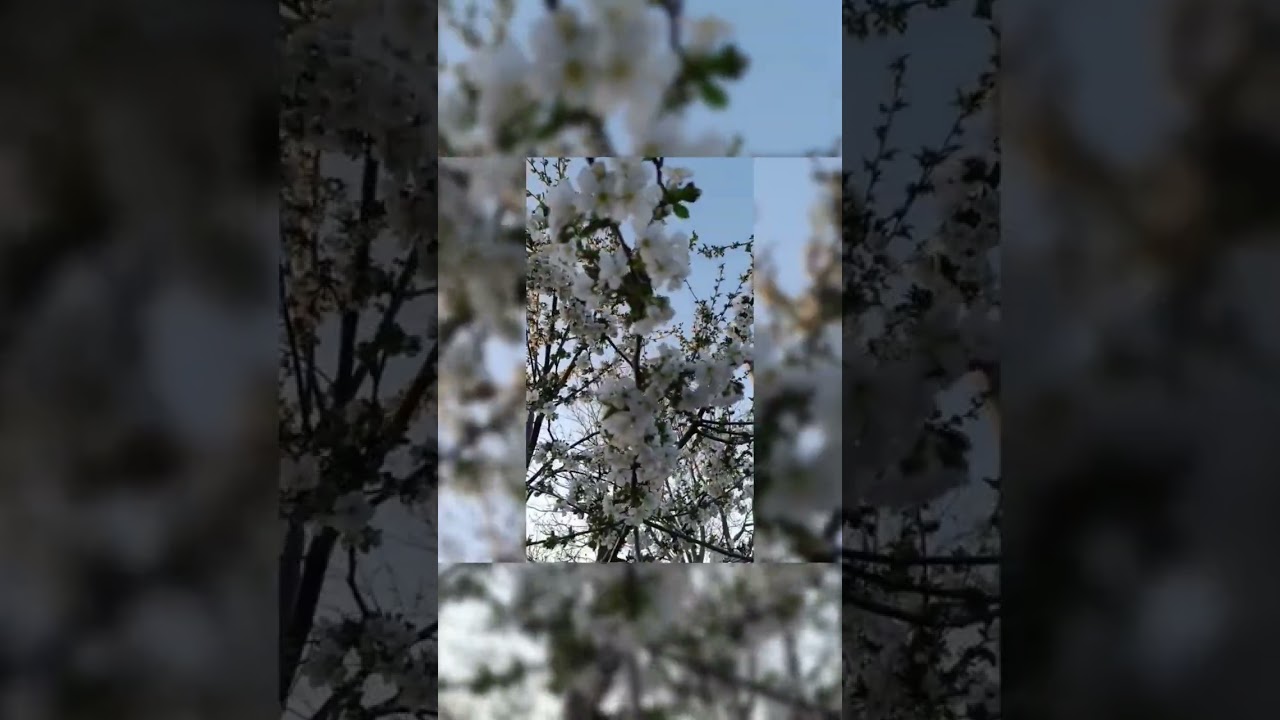 #природа