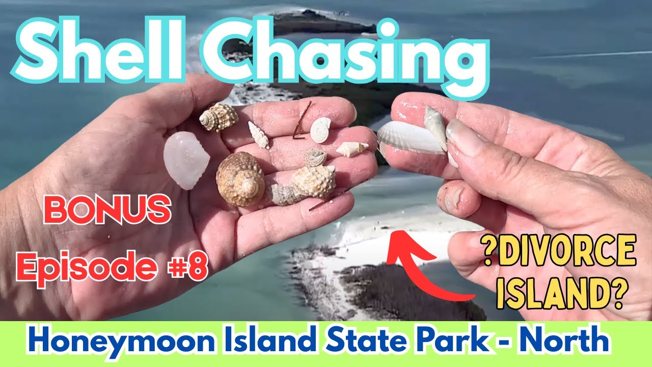 Spring/Summer Shell Chasing PART 8- SPECTACULAR rare finds on HONEYMOON ISLAND