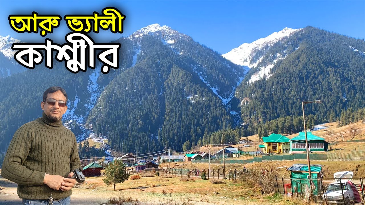 অপরুপ আরু ভ্যালী, পেহেলগাম, কাশ্মীর | Aru Valley, Pahalgam,  Kashmir | Flying Bird |