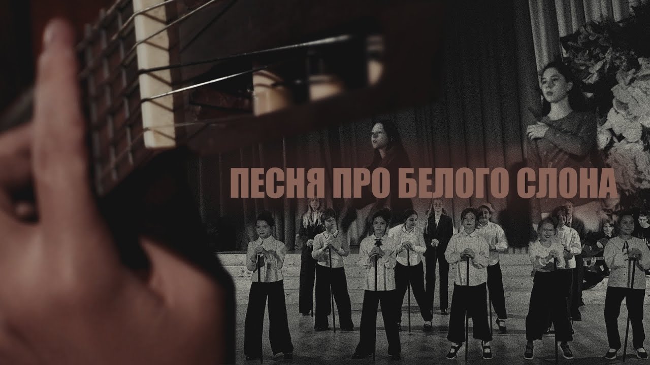 Владимир Высоцкий - Песня про белого слона | ГБОУ Школа им. А. Боровика
