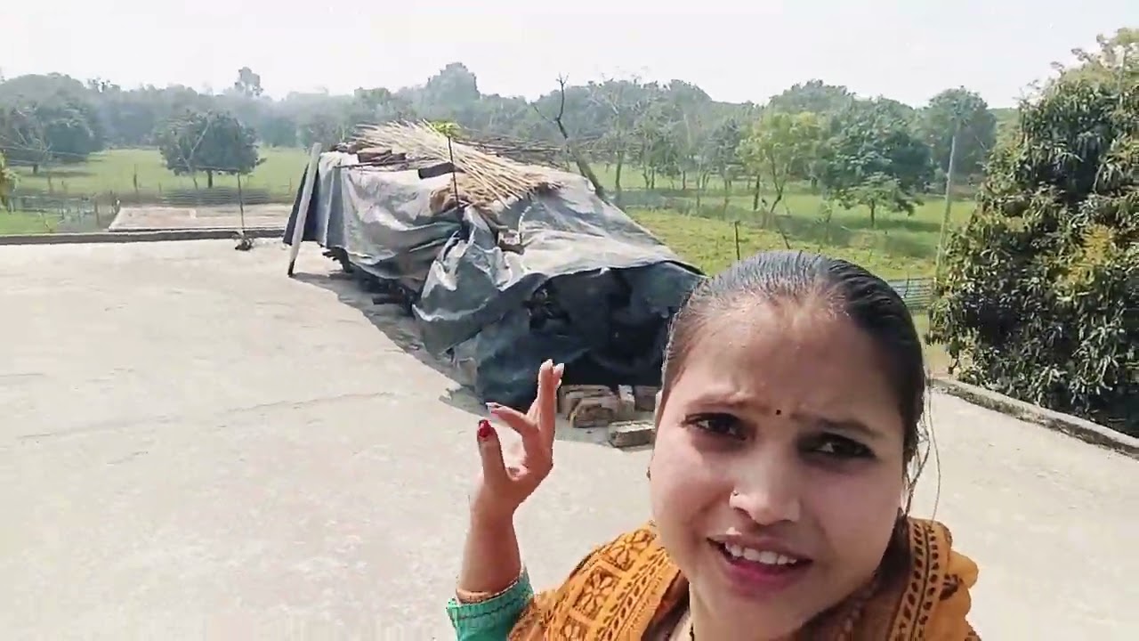 Gaon ka najara#volgsvideo #Hara bhara khet bag#