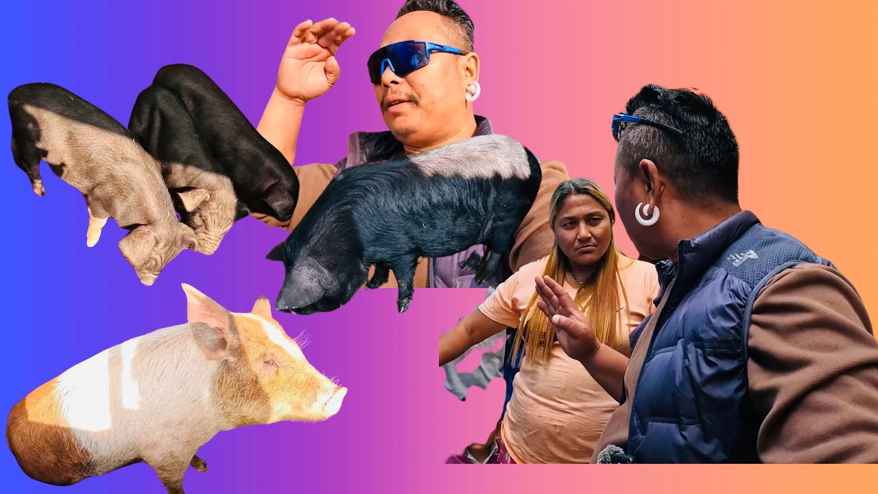 Srip 71 k ko mudda milaiyo sathiharu🙏🏻❤️