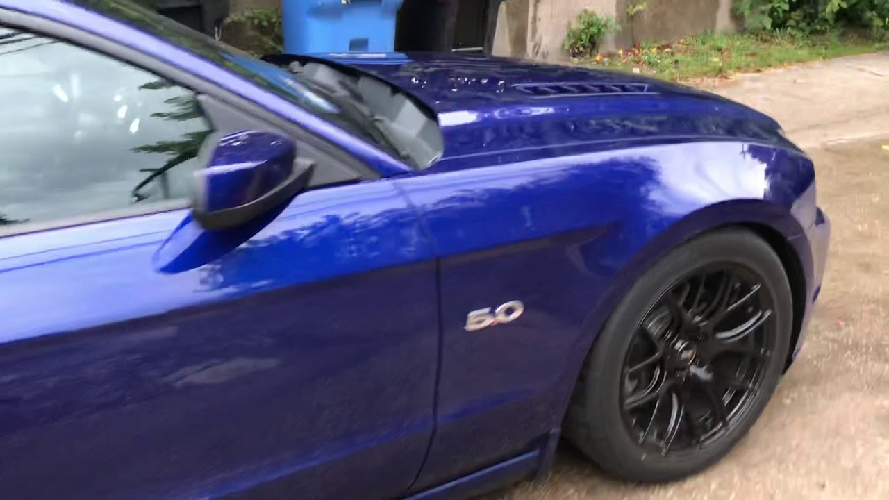 Mustang gt on SVE 18 inch drift wheels,koni struts and SVE lowering springs