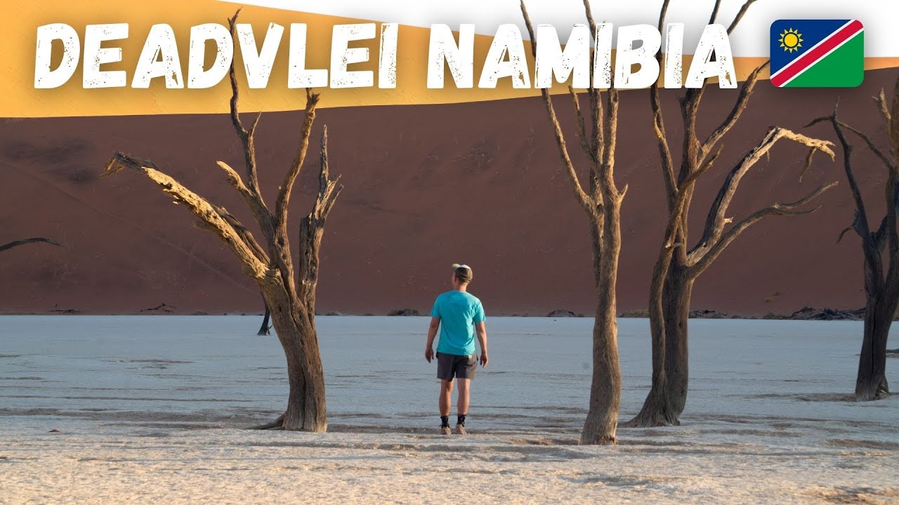 Deadvlei & Sossusvlei - Most Amazing Place in ALL of Namibia 🇳🇦