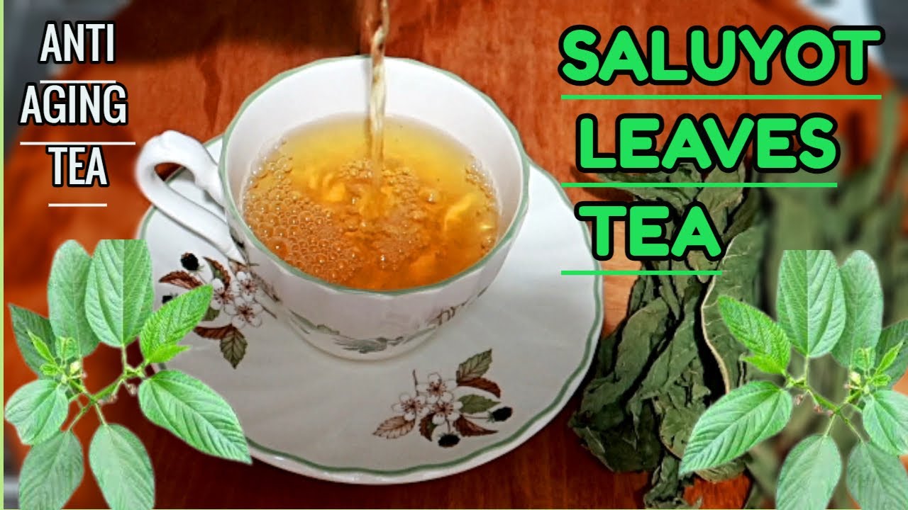 ANTI AGING SECRET TEA They Will Never Tell You / SALUYOT LEAVES TEA / JUTE LEAVES TEA