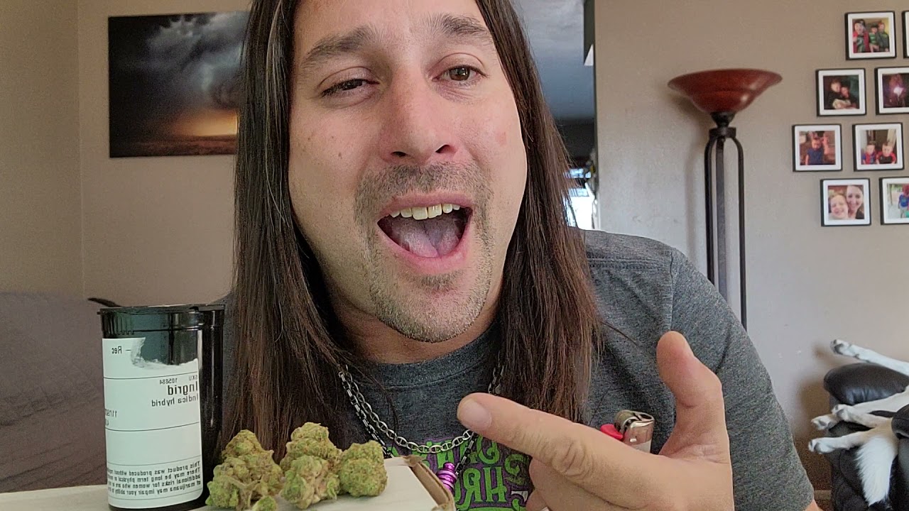 Dan's 420 Chronicles - Ingrid / Weed Review 11/26/21