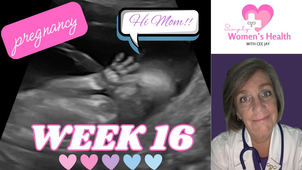 Pregnancy Week 16: Your Baby, Your Symptoms and What You Should Consider Doing.