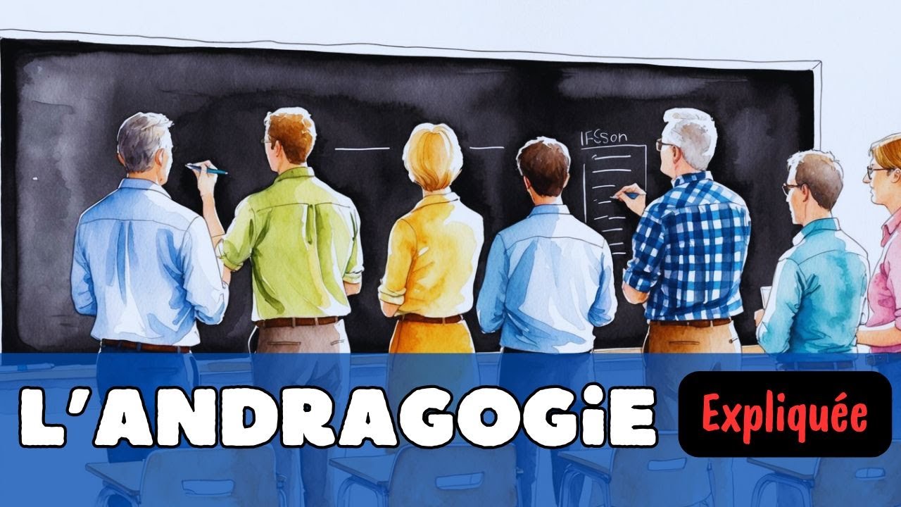 L'andragogie : d&eacute;finition, exemples... (expliqu&eacute;e en 3 minutes)