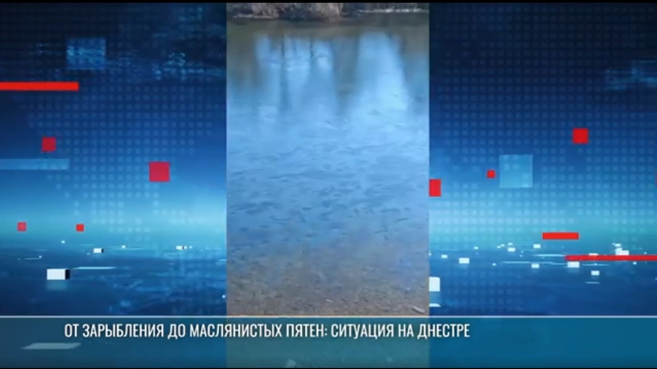 О Днестре – студентам в партии «Обновление»