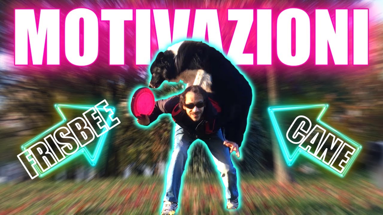 Scopri cosa MOTIVA tutti i COMPORTAMENTI del CANE! | le MOTIVAZIONI