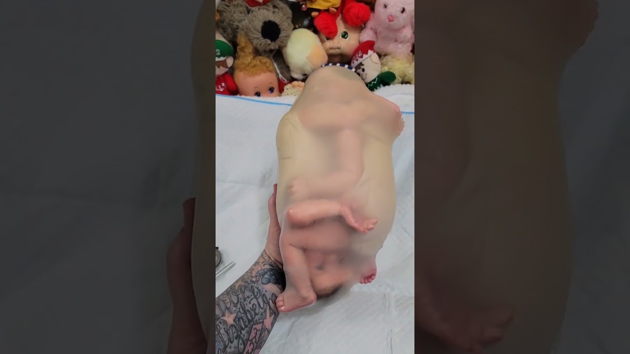 Descobrindo um Segredo Incr&iacute;vel: Como os Beb&ecirc;s Reborn Nascem?