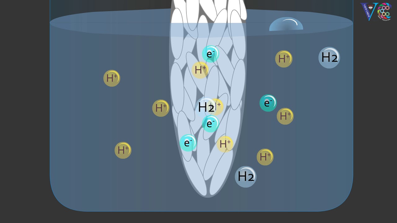 Normal Hydrogen Electrode