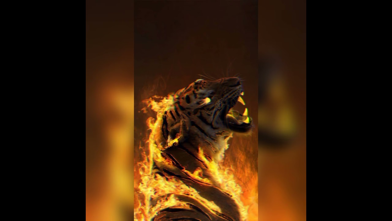 #tiger