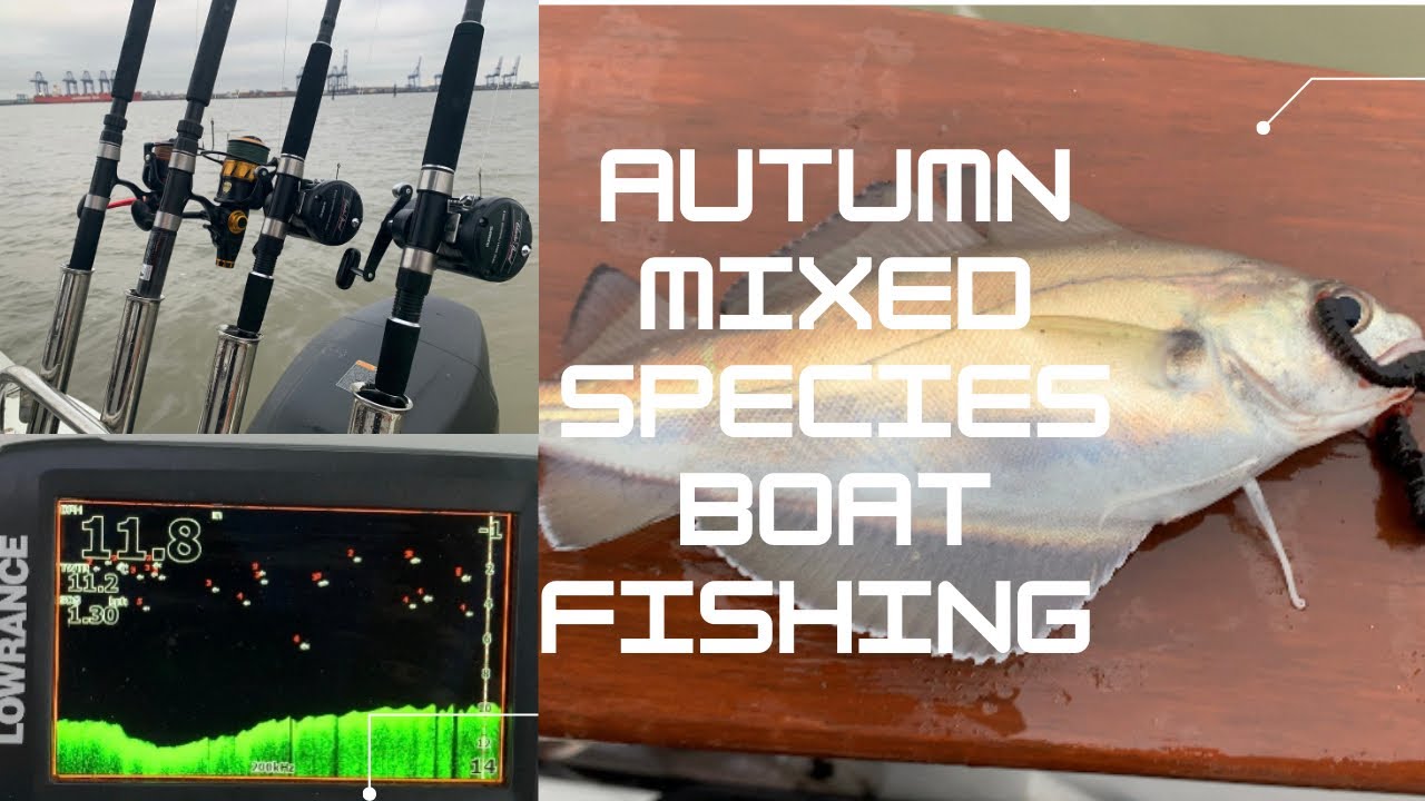 An Autumn day species boat fishing from Shotley Marina onboard a beneteau barracuda