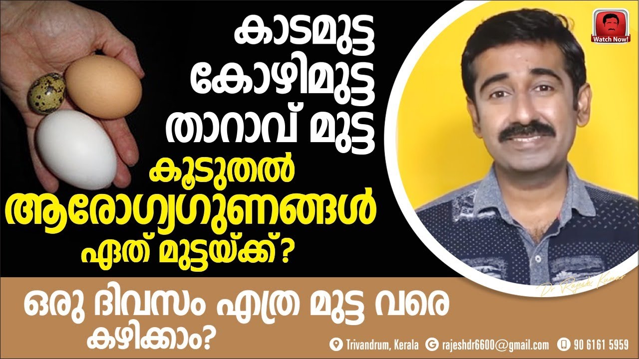 കാടമുട്ട, കോഴിമുട്ട, താറാവ് മുട്ട.. ആരോഗ്യത്തിന് നല്ലത് ഏത് ? മുട്ട ദിവസവും എത്ര എണ്ണം കഴിക്കണം ?