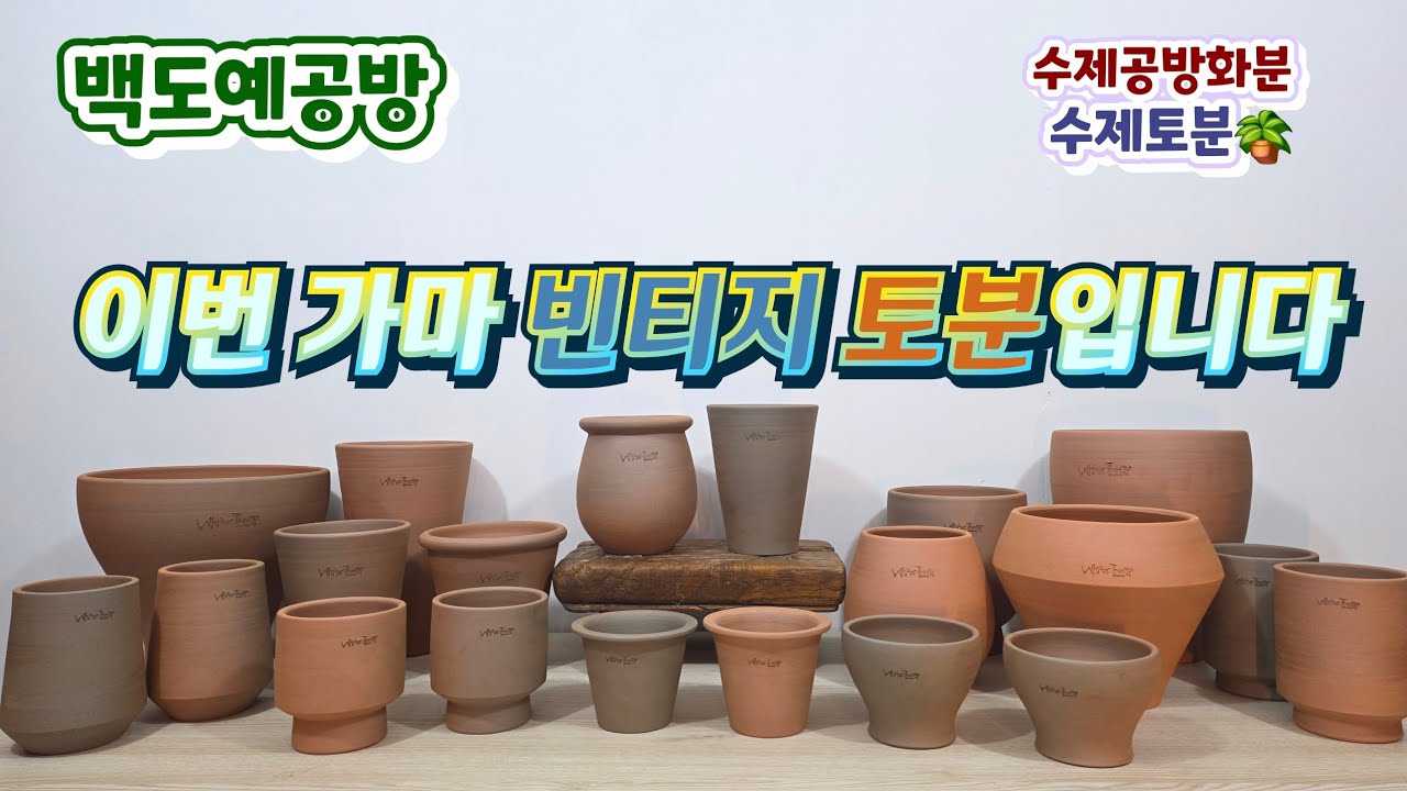 20260206(268회 영상)빈티지 토분탄생🪴토분으로 분위기 업🤗어떤 식물에게든 어울려요#수제토분#수제화분#빈티지 토분#야생화화분#다육화분#선인장 #아프리카식물#인테리어화분 