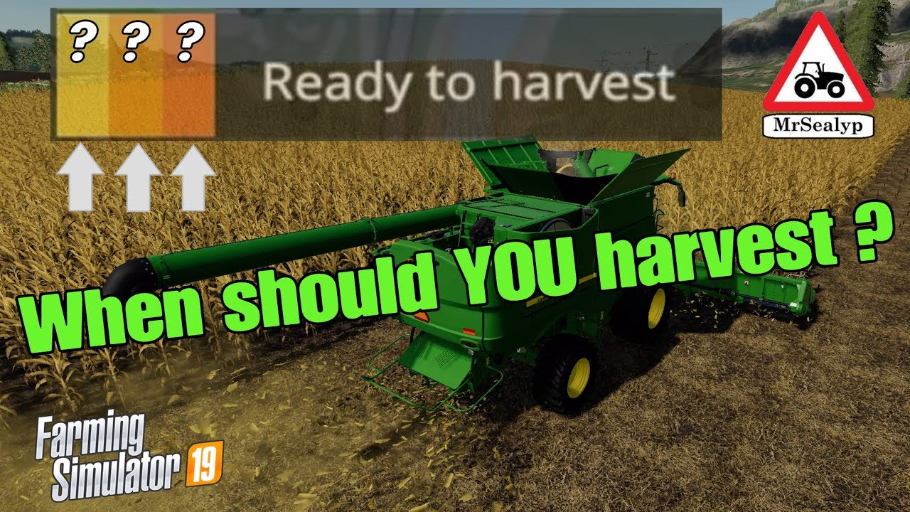 A Guide to... When should YOU harvest? (Ready to harvest!). Farming Simulator 19, PS4, Assistance!