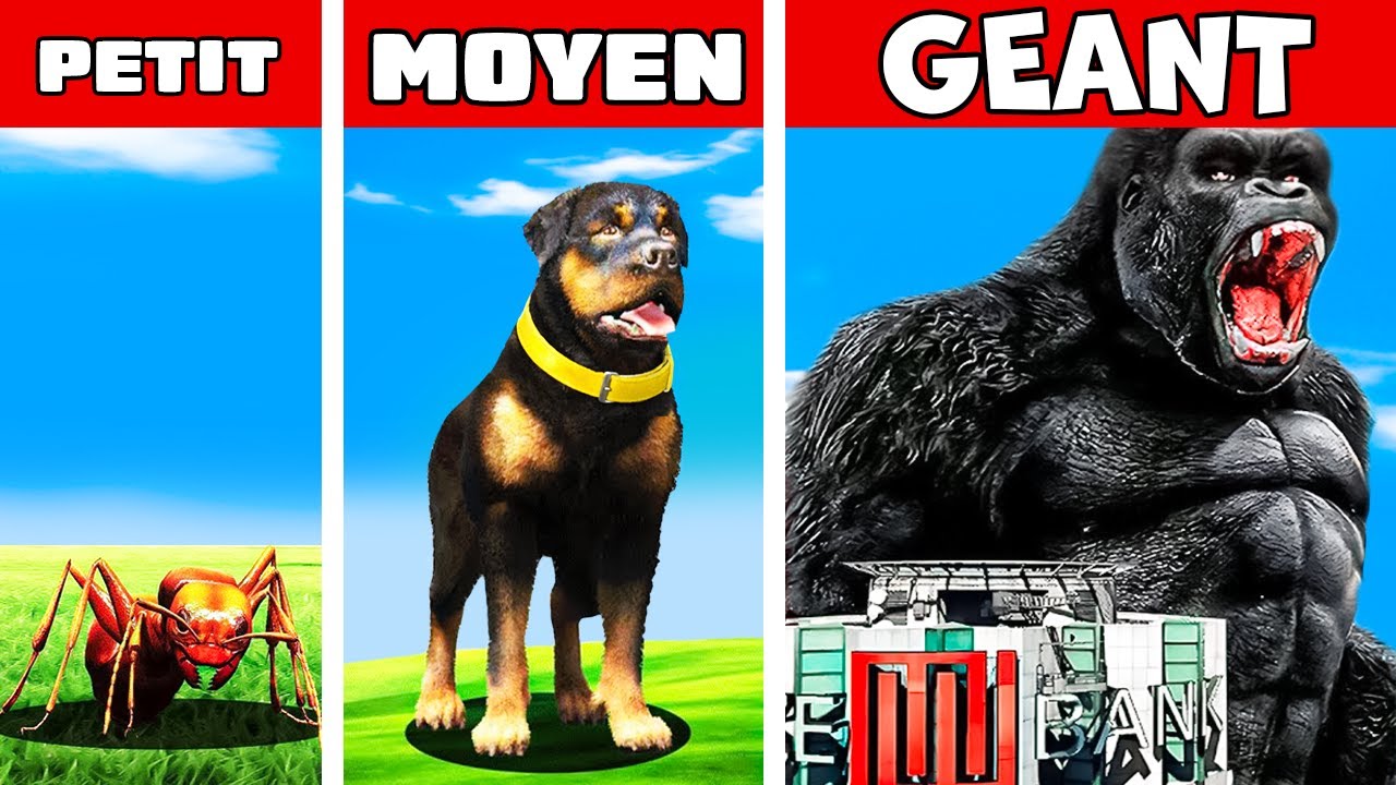 DU PLUS PETIT ANIMAL AU PLUS GRAND SUR GTA 5 ! (Le dernier est fou)