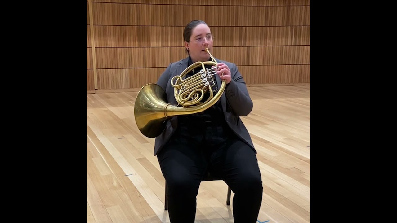 Extended Techniques for Horn #3: Rips and Glisses