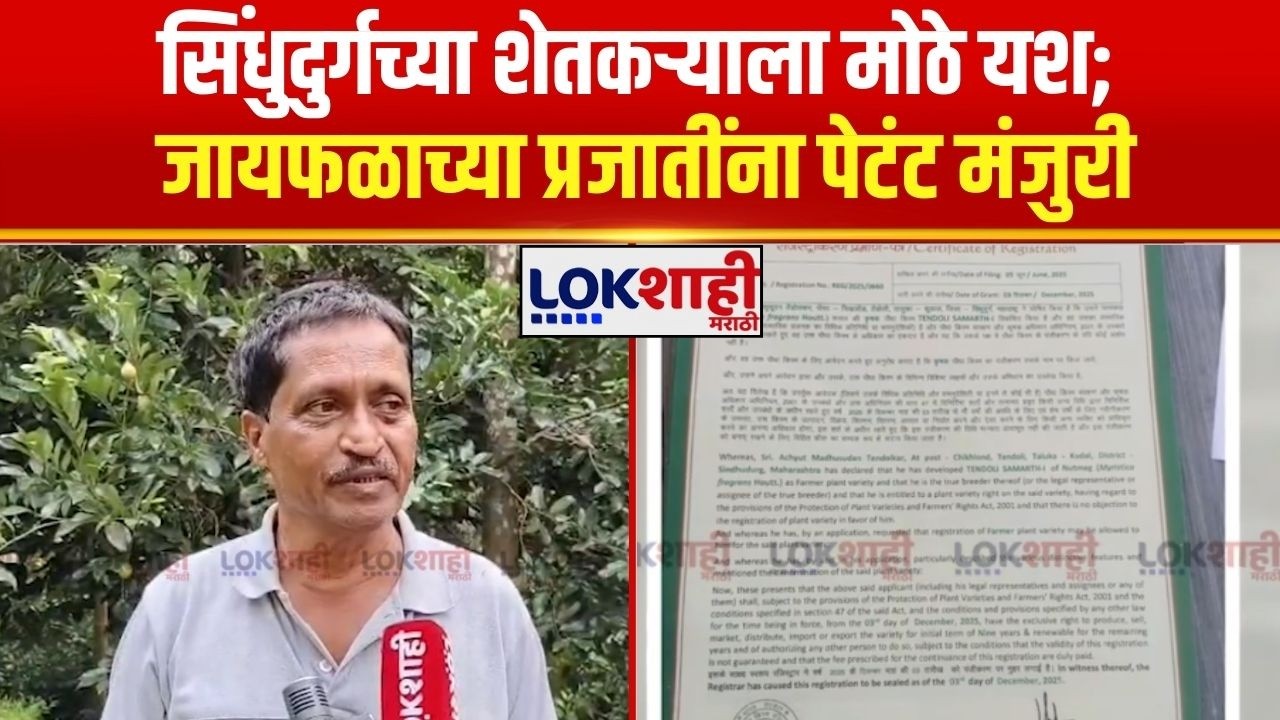Sindhudurg | शेतकऱ्याला मोठे यश; जायफळाच्या “समर्थ १” व “समर्थ २” प्रजातींना पेटंट मंजुरी