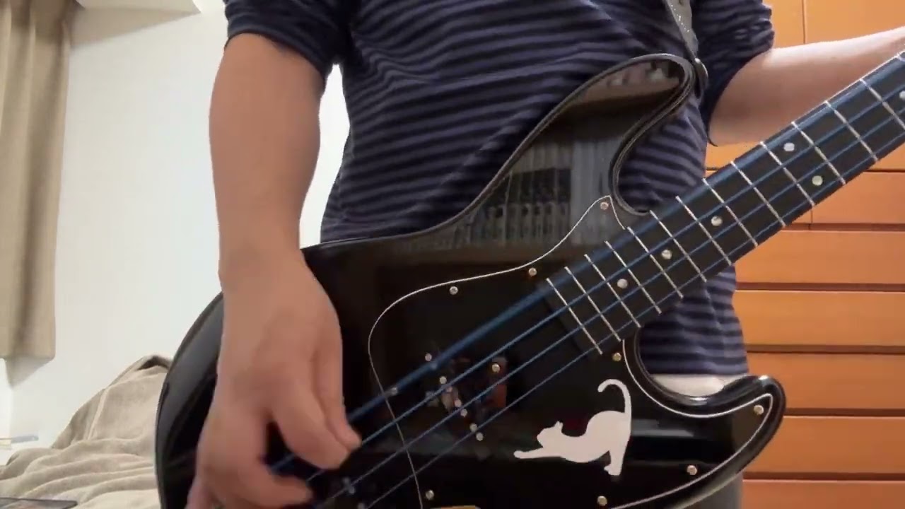 The Birthday/涙がこぼれそう【Bass Cover】【耳コピ】