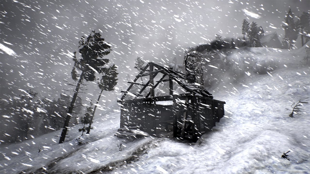 -40 at the ARCTIC STATION and Sounds of an BRUTAL icy snow storm and Howling of a strong wind