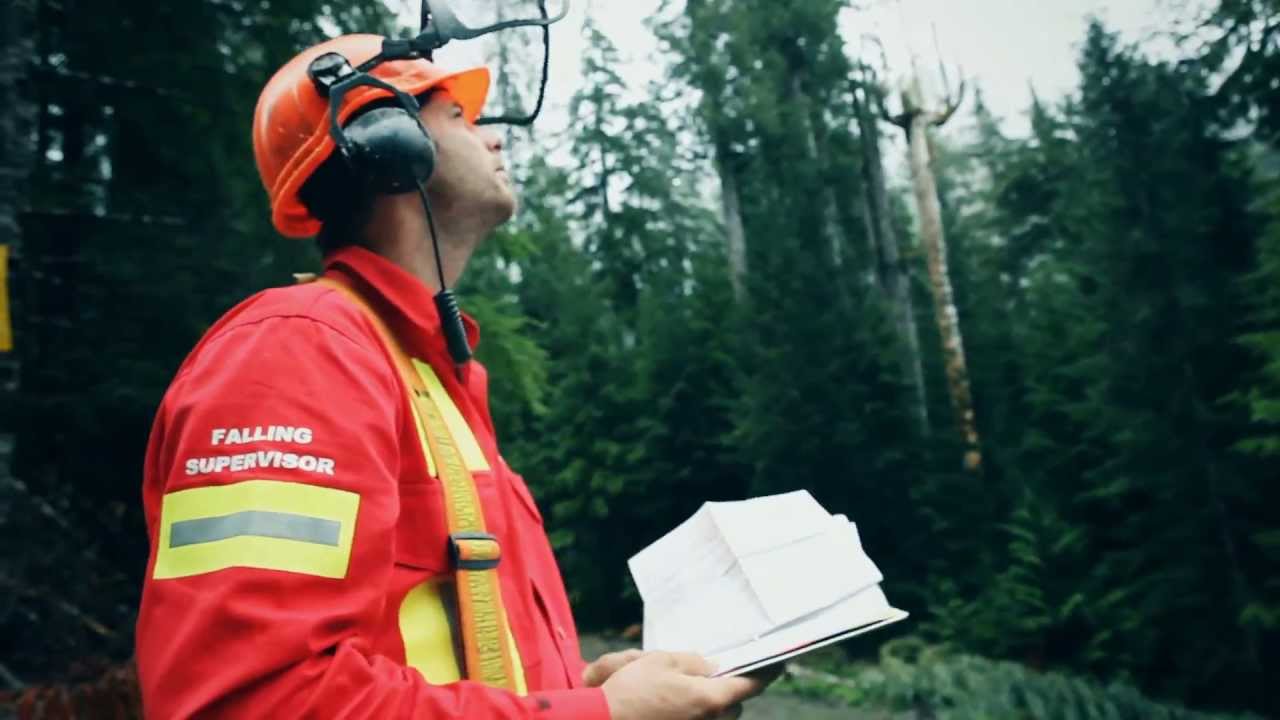Certified Falling Supervisor