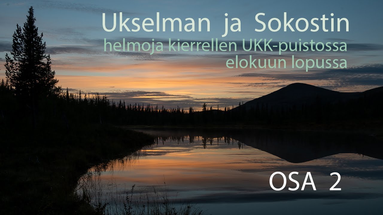 Ukselman ja Sokostin helmoja kierrellen UKK-puistossa kesän 2021 lopussa OSA 2