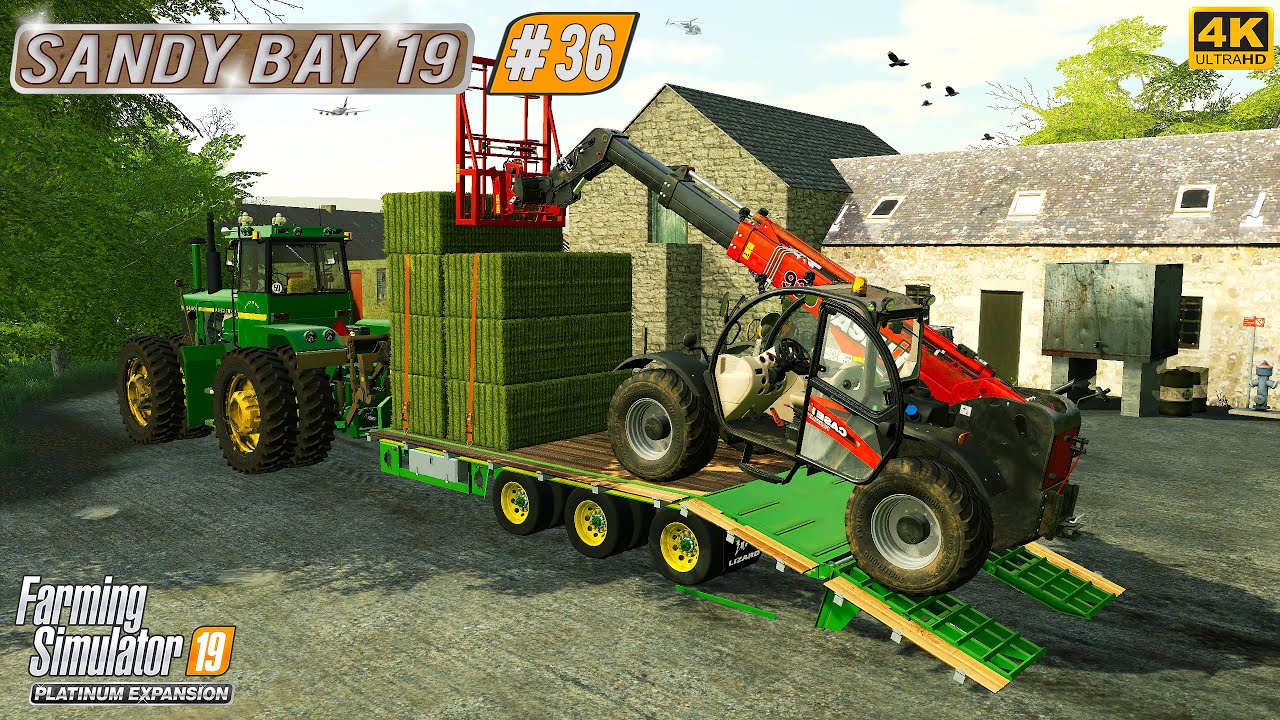 Animal Care. Selling Manure & Milk ⭐ Sandy Bay 19 #36 ⭐ FS19 4K TimeLapse