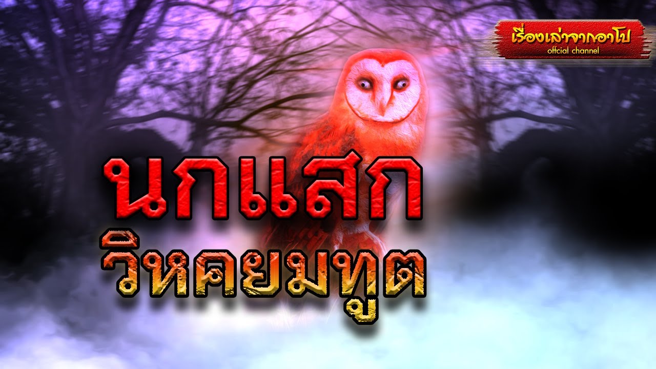 นกแสกวิหคยมทูต-เรื่องเล่าจากอาโป