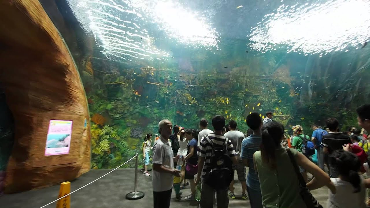 20140603 Chimelong Ocean Kingdom