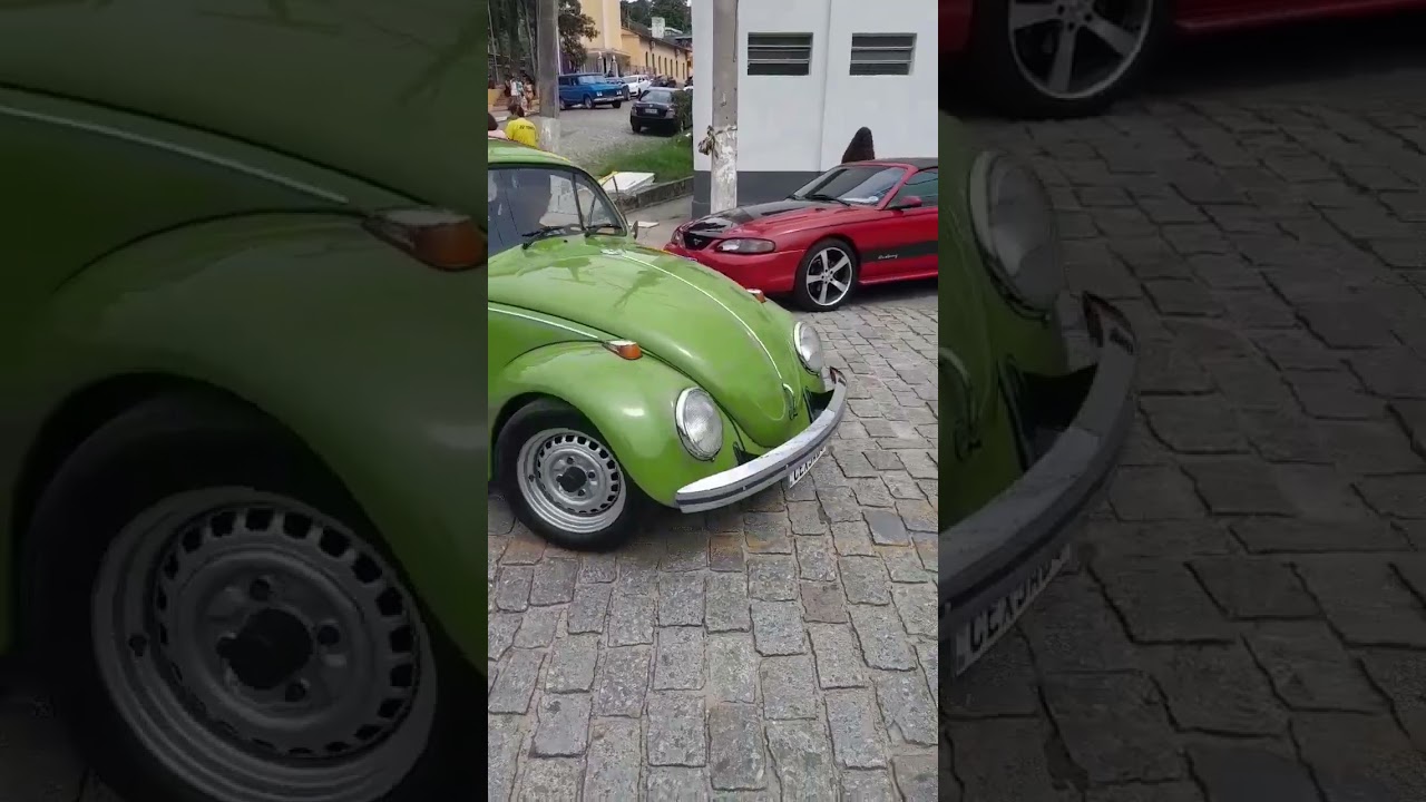 Fusca verde #fusca #fuscalovers #verde