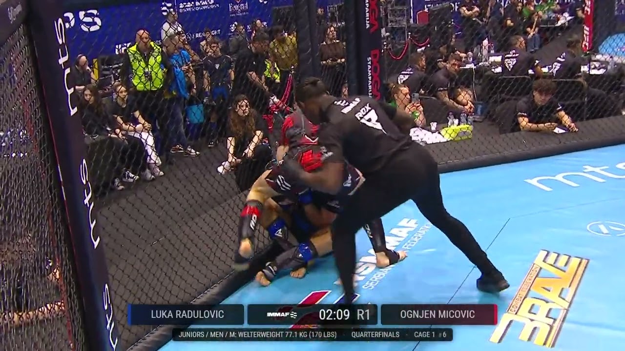 MMA EP 2024 BEOGRAD / Luka Radulović - Ognjen Mićović