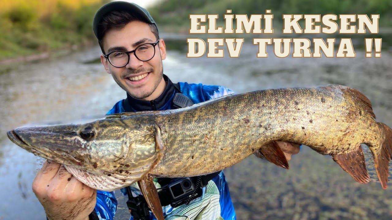 Yakaladığım En Büyük Balık !! Tut-Pişir-Ye !!