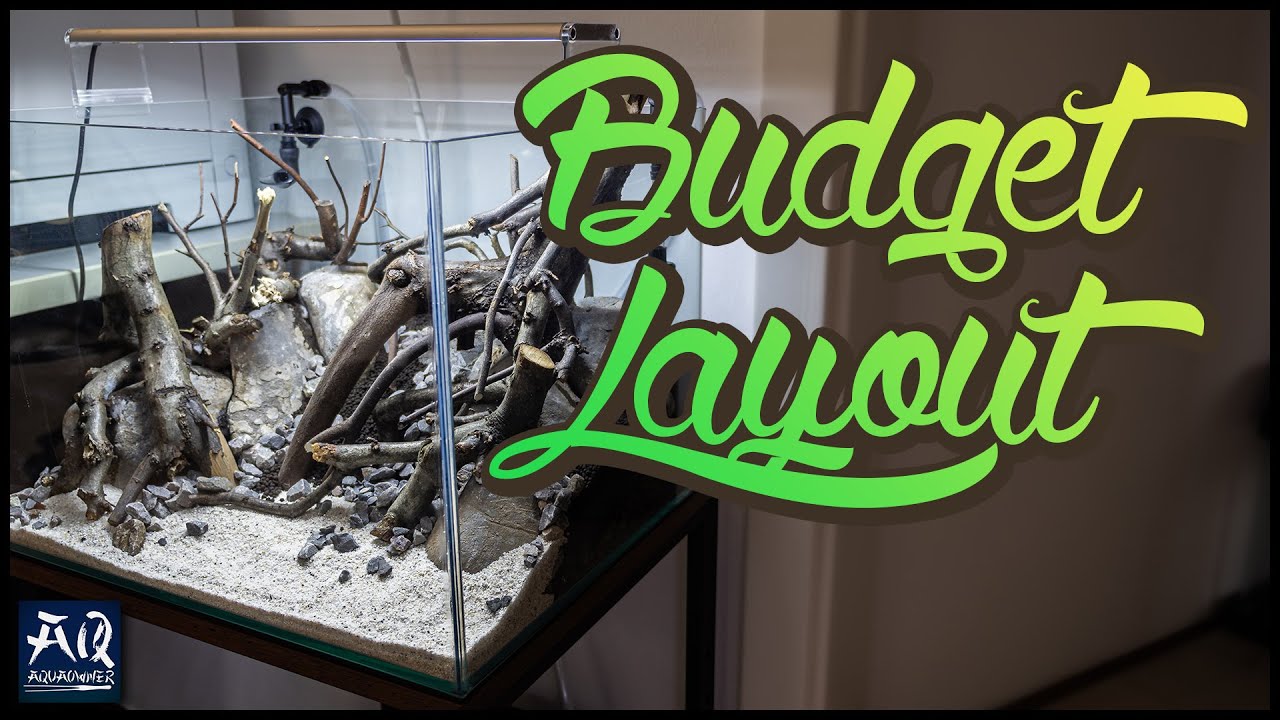 Das Layout im Low-Budget Aquascape ist fertig! | AquaOwner