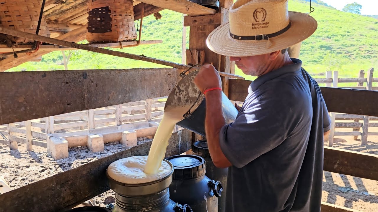 ELE TRABALHA MAIS DE 30 ANOS TIRANDO LEITE NESSA FAZENDA CENTENÁRIA 