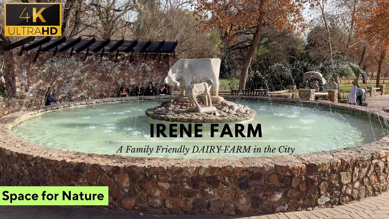 Why You Should Visit Irene Dairy Farm Today | South Africa | City farm