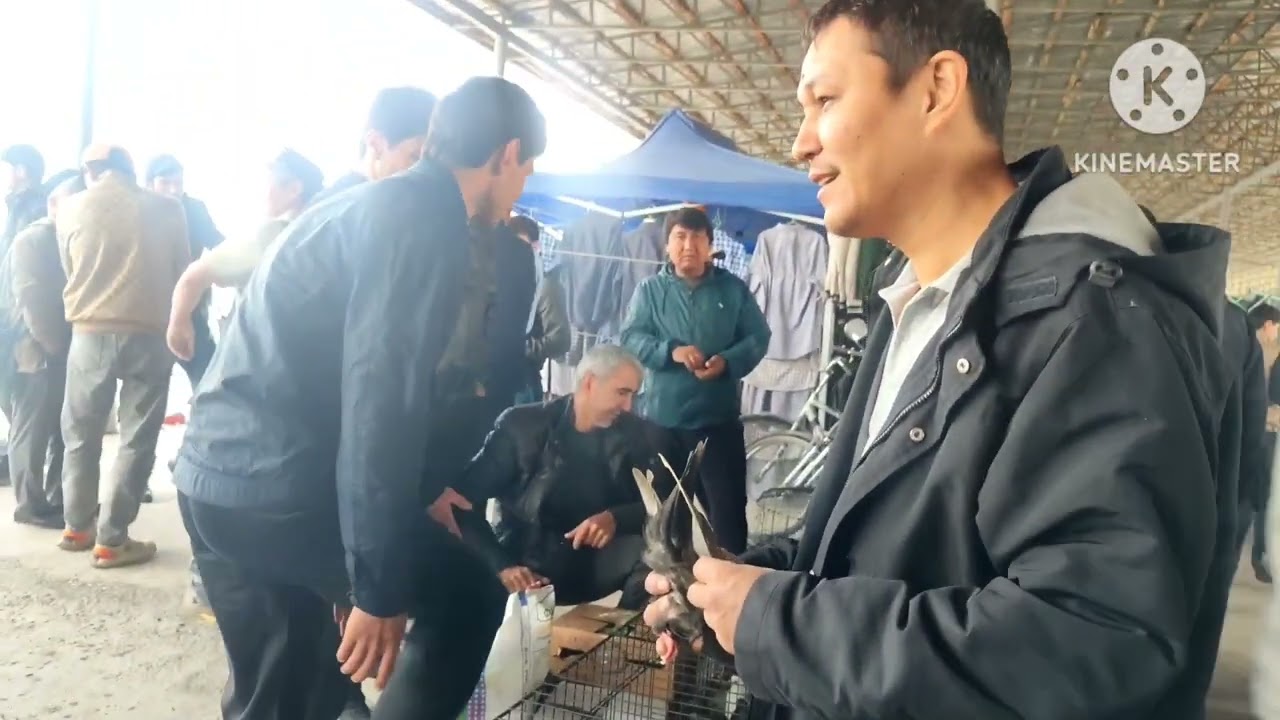 Ринок г Душанбе Рудаки Ленинский район падписатся барои пеш рави 20.04.25г